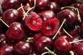 Close up shot of fresh organic red cherries. Royalty Free Stock Photo