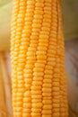 Close up shot Fresh ripe and peeled sweet corn with water drop high vitamin nature food select focus shallow depth of field Royalty Free Stock Photo