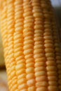 Close up shot Fresh ripe and peeled sweet corn with water drop high vitamin nature food select focus shallow depth of field Royalty Free Stock Photo