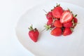 Close-up shot of fresh strawberries on a white plate. Isolated on white background.