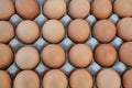 Close up shot of freshly laid, brown, organic eggs,