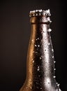 Close up shot of frosty beer bottle.