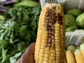 Close-up shot of gand holding broken corn