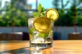 A close-up shot of a glass filled with ice cubes and freshly squeezed lemonade, garnished with a lemon slice and mint leaves, Royalty Free Stock Photo