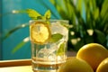 A close-up shot of a glass filled with ice cubes and freshly squeezed lemonade, garnished with a lemon slice and mint leaves, Royalty Free Stock Photo