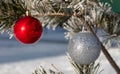 Close up shot of a glittering white and blurred shiny red Christmas balls hanging off a Christmas fir tree outside, all partially Royalty Free Stock Photo