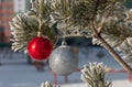 Close up shot of a glittering white and blurred shiny red Christmas balls hanging off a Christmas fir tree outside, all partially Royalty Free Stock Photo