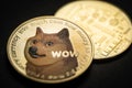 Dogecoin bitcoin cryptocurrency