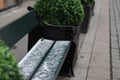 Close-up shot of a green bench with rime near ornamental plants pots in a park Royalty Free Stock Photo