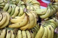 Close up shot of green color  trite bananas Royalty Free Stock Photo