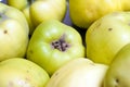 Close up shot of green and yellow apples Royalty Free Stock Photo