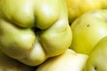 Close up shot of green and yellow apples Royalty Free Stock Photo