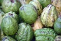 Close up shot of green and yellow color  trite guavas Royalty Free Stock Photo