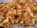 Close up shot of group of deep fried crabs Royalty Free Stock Photo