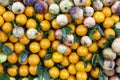 Close-up shot of group of oranges and pomegranates Royalty Free Stock Photo