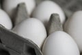 White Eggs Royalty Free Stock Photo