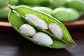 close up shot of half opened edamame pod