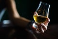 Hand holding a Glencairn whisky glass Royalty Free Stock Photo