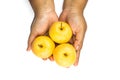 Hand holding tasty ripe apples on white background Royalty Free Stock Photo