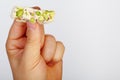 Close Up Shot Of Hand Holding The Traditional Iranian And Persian Pieces Of White Nougat Dessert Sweet Candies Gaz Royalty Free Stock Photo