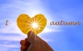Close up shot of hand holding yellow leaf of heart shape with sun rays shining through it at light blue sky background with letter Royalty Free Stock Photo