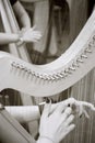 close up shot of hands playing the harp