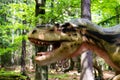 Close-up shot of the head of the scary Albertosaurus dinosaur model in Dino Park on a sunny day