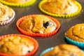 A closeup shot of homemade vegan banana blueberry muffins arranged in a baking tray