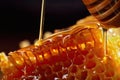 Close-up photograph of honeycomb oozing with golden, sweet honey