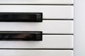 Close up shot of horizontally aligned piano keys black and white top view Royalty Free Stock Photo