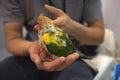 Close up shot of human hand holding beautiful green parrot chicks Royalty Free Stock Photo