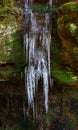 Close up shot of Icicles on a rock