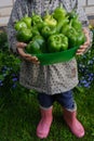 Close up shot of the impersonal kid farmer keeping the large bowl of peppers in front of his