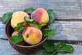 Close-up shot of juicy, fresh peaches lying in a brown deep ceramic plate on old planks Royalty Free Stock Photo
