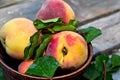 Close-up shot of juicy peaches lying in a brown ceramic plate on a wooden table Royalty Free Stock Photo