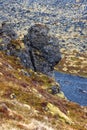 Large lava rock in black sand beach in Iceland near Arnarstapi Royalty Free Stock Photo