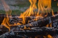 Close up shot of log pieces and fire wood, charcoal and ashes  burning in hot oranges flames in an old vintage brazier Royalty Free Stock Photo