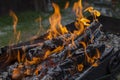 Close up shot of log pieces and fire wood, charcoal and ashes  burning in hot oranges flames in an old vintage brazier Royalty Free Stock Photo