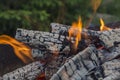 Close up shot of log pieces and fire wood, charcoal and ashes  burning in hot oranges flames in an old vintage brazier Royalty Free Stock Photo