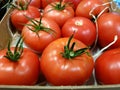 Close-up shot of a lot of ripe fresh tomatoes in a wooden box for sale at a farmer`s market and in an organic store. Healthy food Royalty Free Stock Photo