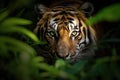 Close-up shot of a majestic tiger in its natural habitat, hidden among dense foliage in a lush jungle. Generative AI Royalty Free Stock Photo