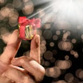 man holding gift box Royalty Free Stock Photo