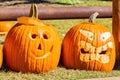 Close up shot of many crafted pumpkin Royalty Free Stock Photo