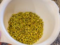 Close up shot of many mung beans in Germination Royalty Free Stock Photo