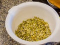 Close up shot of many mung beans in Germination Royalty Free Stock Photo