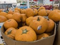 Close up shot many pumpkin selling in Costco