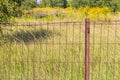 Close up shot of the metal rusted fence. Background