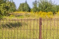 Close up shot of the metal rusted fence. Background