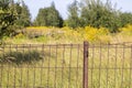 Close up shot of the metal rusted fence. Background