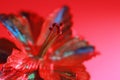 Metallic decorative flower illuminated under colorful lights